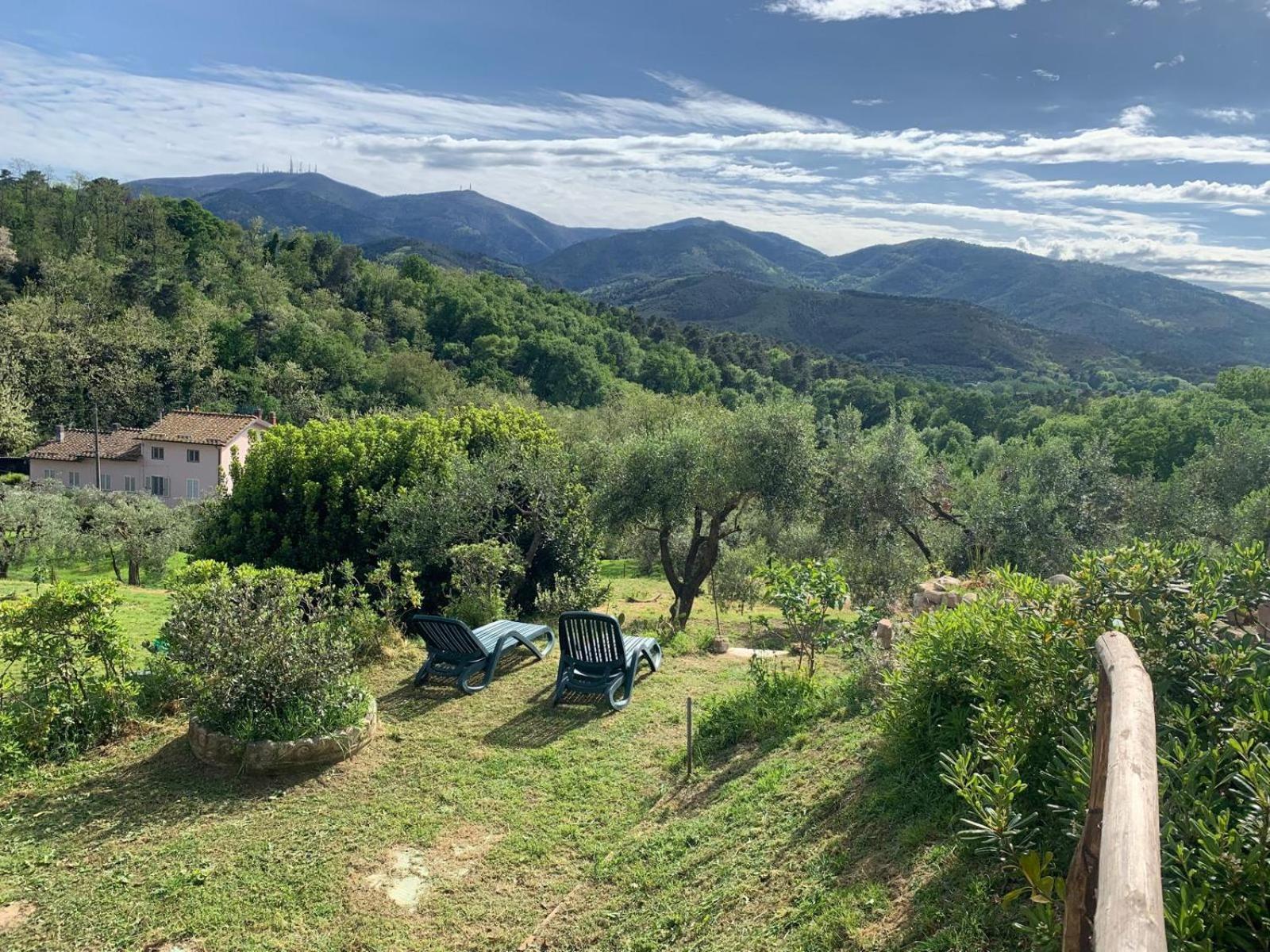 Villa La Capanna Di Arturo Piano Terra Capannori Exterior foto
